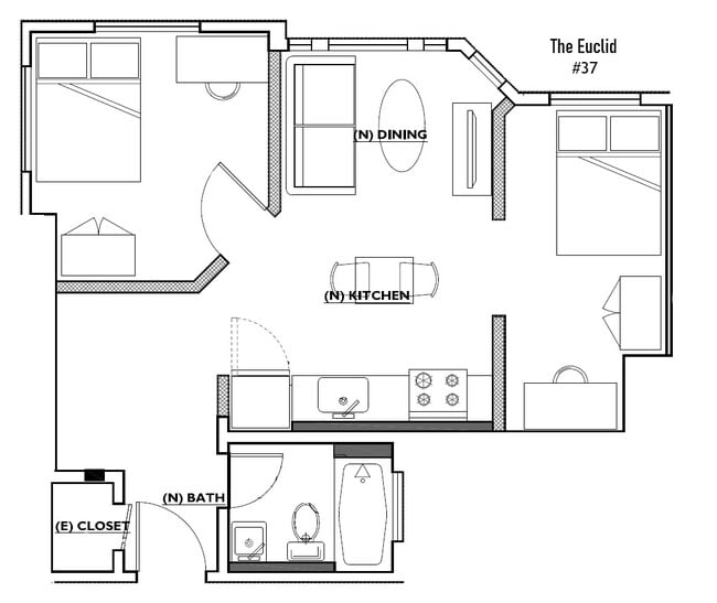 The Euclid