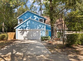 12 Dewthread Ct in Spring, TX - Building Photo