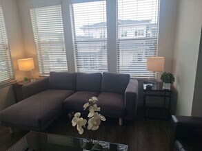 13593 Via Varra in Broomfield, CO - Building Photo - Building Photo