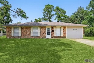 10689 Rhus Fringe Dr in Baton Rouge, LA - Building Photo