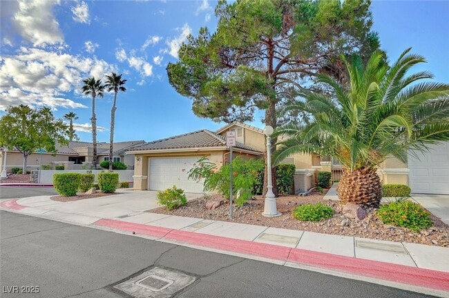 9300 Mt Cash Ave in Las Vegas, NV - Building Photo - Building Photo