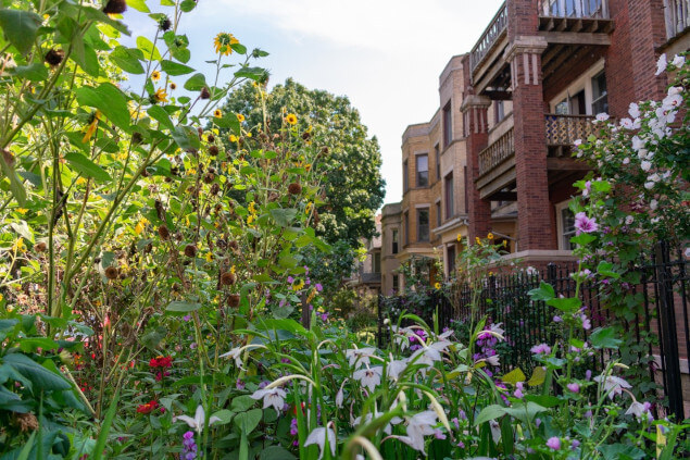 Apartamentos Alquiler en Andersonville, IL