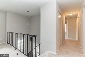 353 Council Oak Dr in Severn, MD - Building Photo - Building Photo