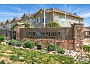 457 Black Feather Loop, Unit 457 Black Feather Loop in Castle Rock, CO - Foto de edificio - Building Photo