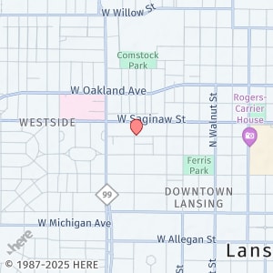 property at 303.5 W Lapeer St