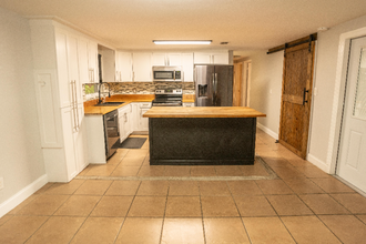 3703 N Tampa St in Tampa, FL - Building Photo - Building Photo