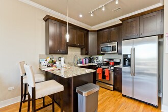 207 E 31st St, Unit 4F in Chicago, IL - Building Photo - Building Photo
