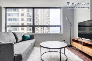 445 E Ohio St, Unit SI FL35-ID448 in Chicago, IL - Building Photo