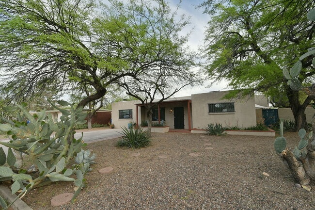 property at 2842 E Blacklidge Dr