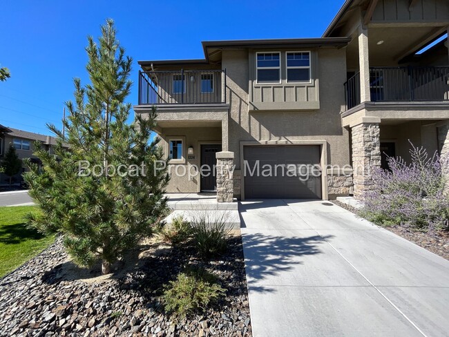 1334 Campagni Ln in Carson City, NV - Building Photo - Building Photo