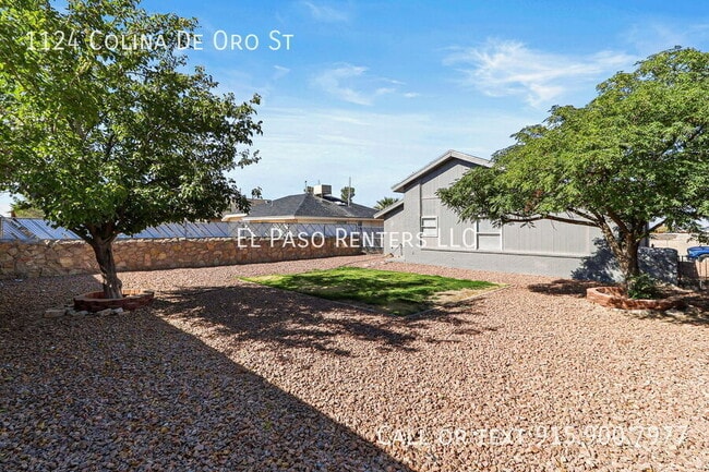 1124 Colina De Oro St in Horizon City, TX - Building Photo - Building Photo