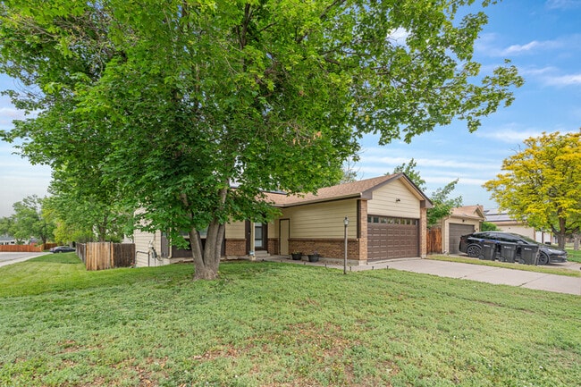 5991 W 68th Ave in Arvada, CO - Building Photo - Building Photo