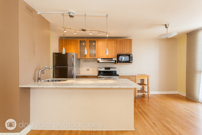 1540 N La Salle Dr, Unit 1804 in Chicago, IL - Building Photo - Building Photo