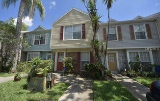 16147 Rambling Vine Dr E in Tampa, FL - Building Photo