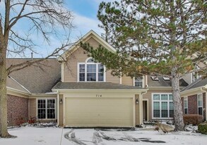 716 Clover Hill Ct in Elk Grove Village, IL - Building Photo