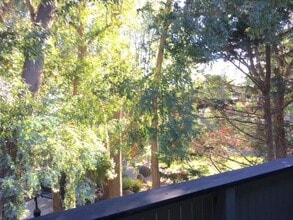 247 Boardwalk Ave in San Bruno, CA - Building Photo - Building Photo