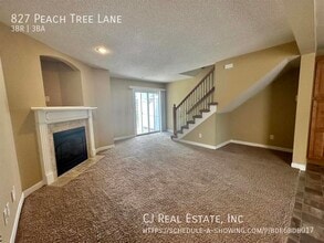 827 SW Peach Tree Ln in Blue Springs, MO - Building Photo - Building Photo
