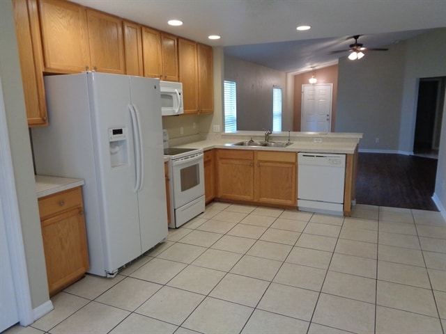 7742 Citrus Blossom Dr in Land O Lakes, FL - Building Photo - Building Photo