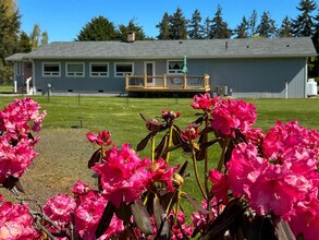 262 Mantle Rd in Sequim, WA - Building Photo - Building Photo