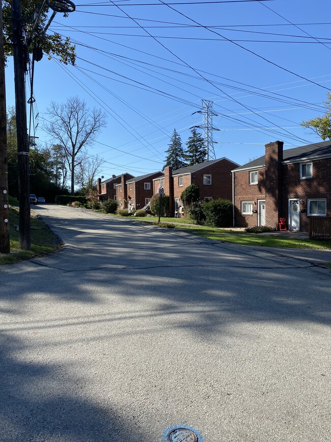 20 Dorsey St, Unit 20 in Bridgeville, PA - Building Photo - Building Photo