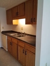 1299 Hilltop Cir, Unit 101 in Troy, OH - Building Photo - Building Photo
