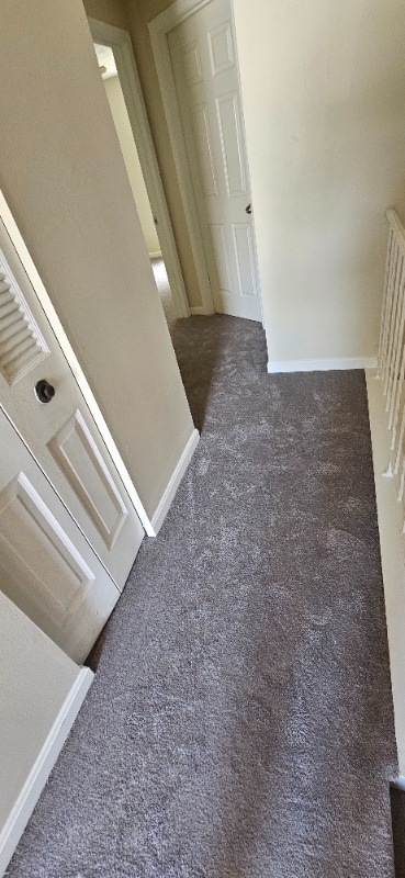 103 Charleston Ct in La Plata, MD - Building Photo - Building Photo