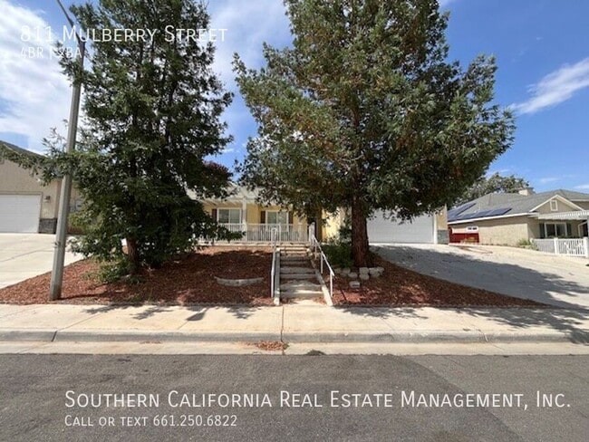 property at 811 Mulberry St