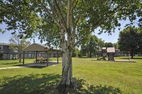 McArthur Park - McArthur Park Apartamentos in Louisville, Kentucky