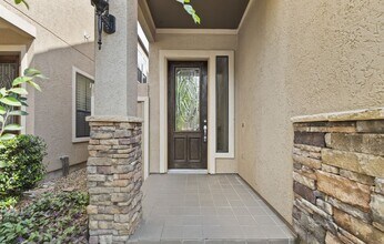 2919 Royal Oaks Grove in Houston, TX - Building Photo - Building Photo