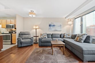 211 E Ohio St in Chicago, IL - Building Photo - Building Photo