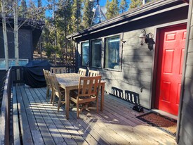 4603 Co Rd 1 in Alma, CO - Building Photo