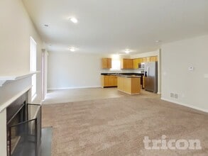 594 Sun Ridge Blvd in Avon, IN - Building Photo - Building Photo