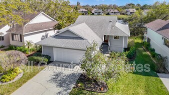 1007 S Pointe Alexis Dr in Tarpon Springs, FL - Building Photo