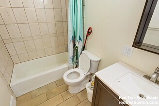 49 Cameron St, Unit 1 in Brookline, MA - Building Photo - Building Photo