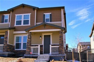 2811 Summer Day Ave in Castle Rock, CO - Building Photo