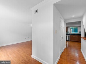 2459 Pyrenees Ct in Reston, VA - Building Photo - Building Photo