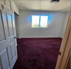 329 E 116th Pl in Los Angeles, CA - Building Photo - Building Photo