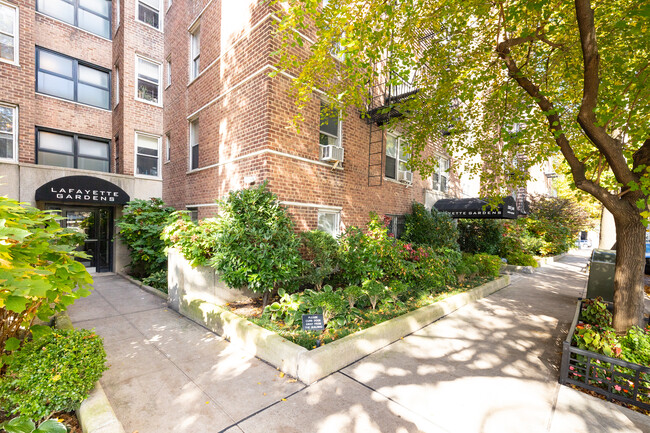 Lafayette Gardens in New York, NY - Foto de edificio - Building Photo