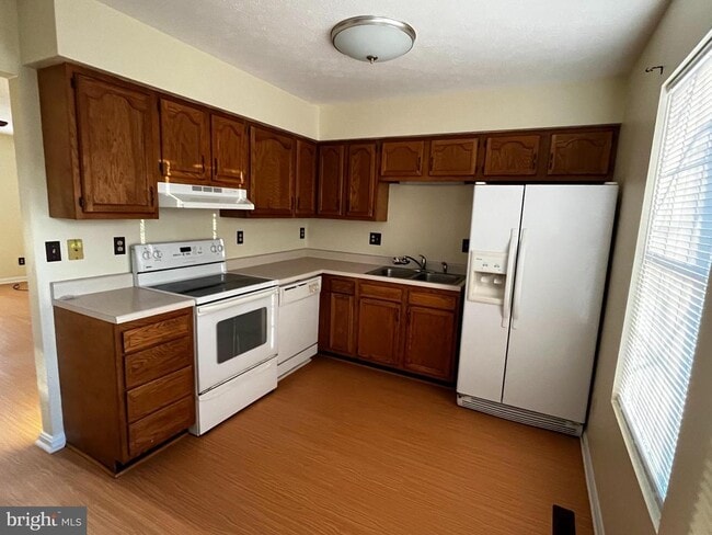 2906 Sorrell Ct in Winchester, VA - Building Photo - Building Photo