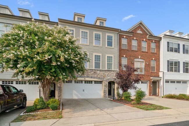 22201 Falling Terrace in Ashburn, VA - Foto de edificio - Building Photo