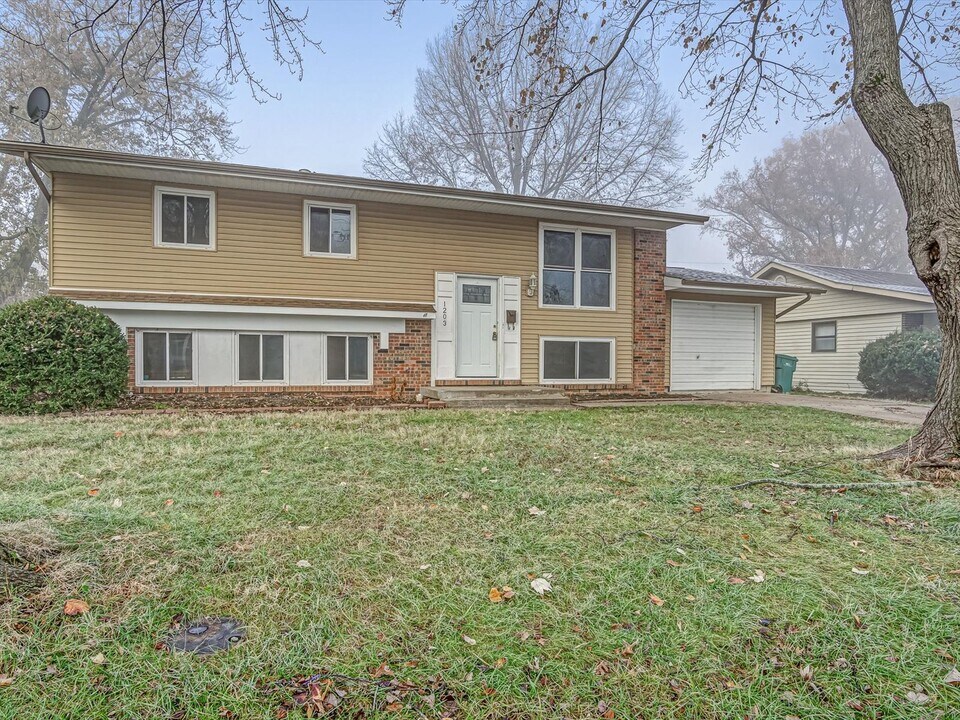 1203 Princeton Dr in O'Fallon, IL - Foto de edificio