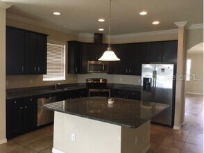 15538 Long Cypress Dr in Ruskin, FL - Building Photo - Building Photo