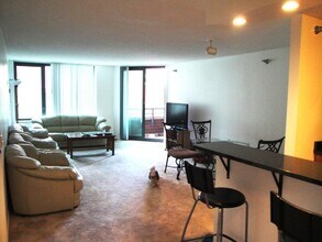 480 N McClurg Ct in Chicago, IL - Building Photo - Building Photo