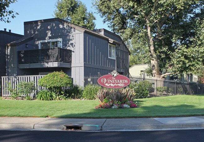 Vineyards in Lodi, CA - Building Photo - Building Photo