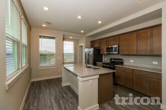 1737 Mexican Heather Dr in Leander, TX - Building Photo - Building Photo