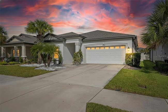 30439 Caravelle Ln in Wesley Chapel, FL - Building Photo - Building Photo