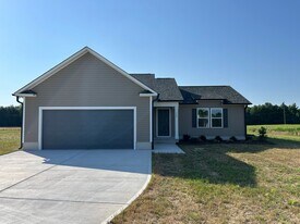 260 Swinson Dr in Dudley, NC - Building Photo