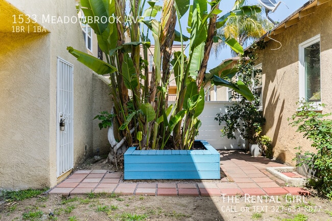 1533 Meadowbrook Ave in Los Angeles, CA - Building Photo - Building Photo
