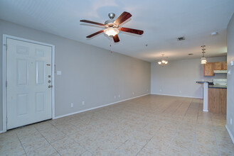 Napa Heights Apartments in McAllen, TX - Building Photo - Interior Photo