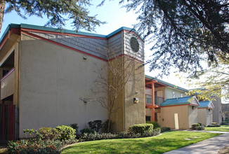 Sherman Oaks Plaza in Sacramento, CA - Building Photo - Building Photo